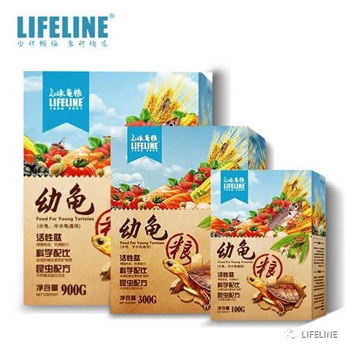 东部锦龟智商排名,红腹东部锦龟