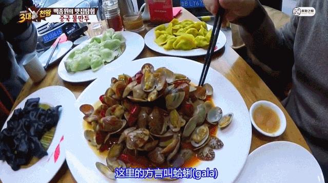 海滨老城泡桐花 (海滨老城紫色泡桐花)