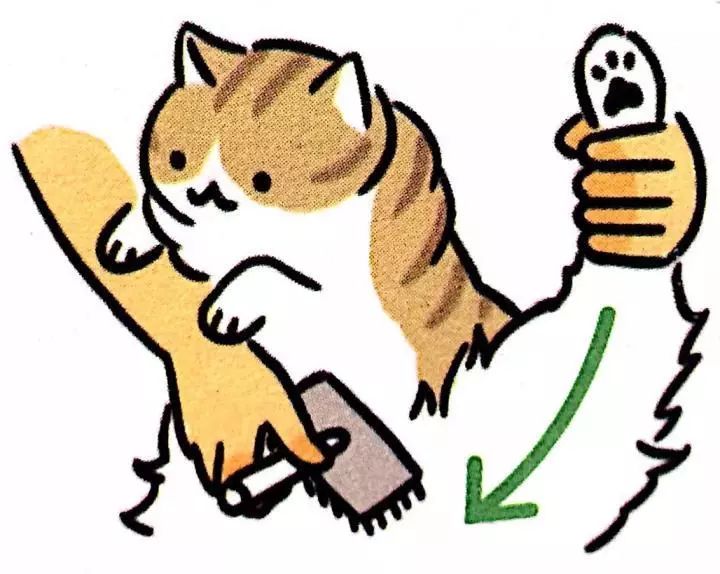 给猫主子梳毛,给猫猫梳毛用什么最好