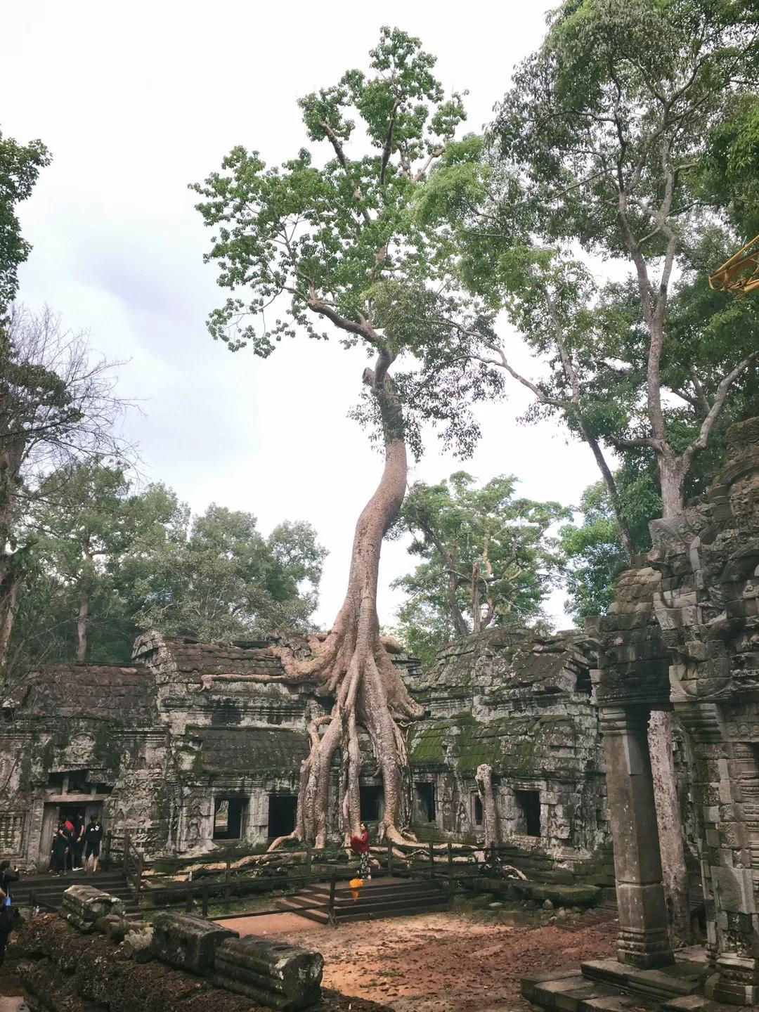 等疫情结束了和我一起去旅游吧,等疫情结束了我就带你去玩
