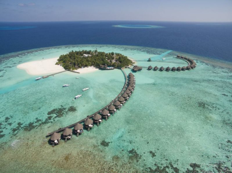 马尔代夫蕉叶岛游记,马尔代夫蓝色美人蕉岛的游记