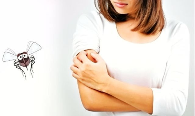 从怀孕到生一直闻甲醛,家里有孕妇怎么驱蚊最有效