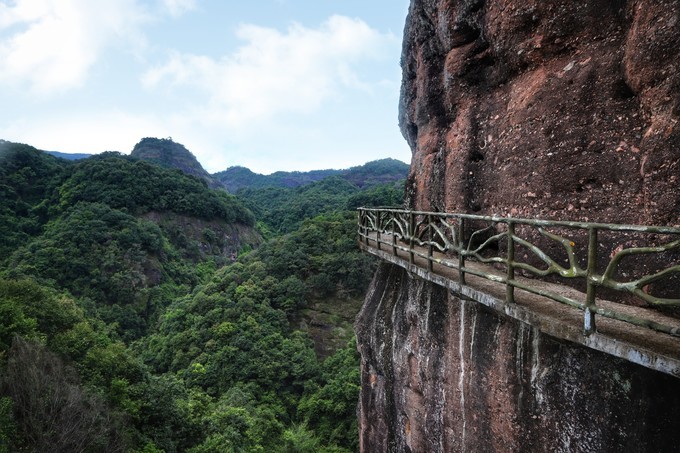 梅州采茶,梅州采茶体验