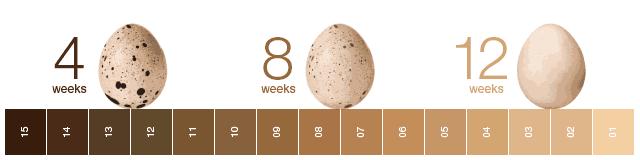 陈乔恩为什么越来越漂亮,陈乔恩肌肤娇嫩