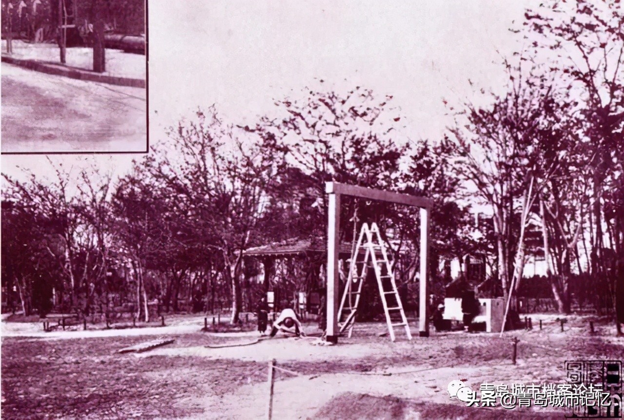 青岛的几个海洋公园哪个好,青岛世博园八大园都是什么园