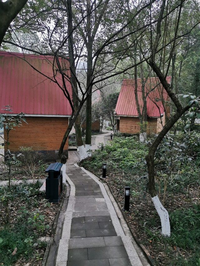 江东旅游景点推荐攻略,重庆温泉之都统景温泉