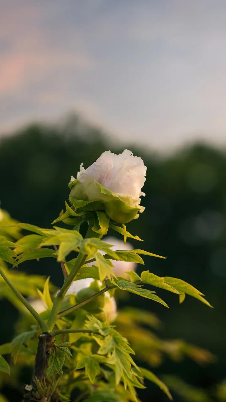旅行结束回来继续努力,旅行恢复生命力