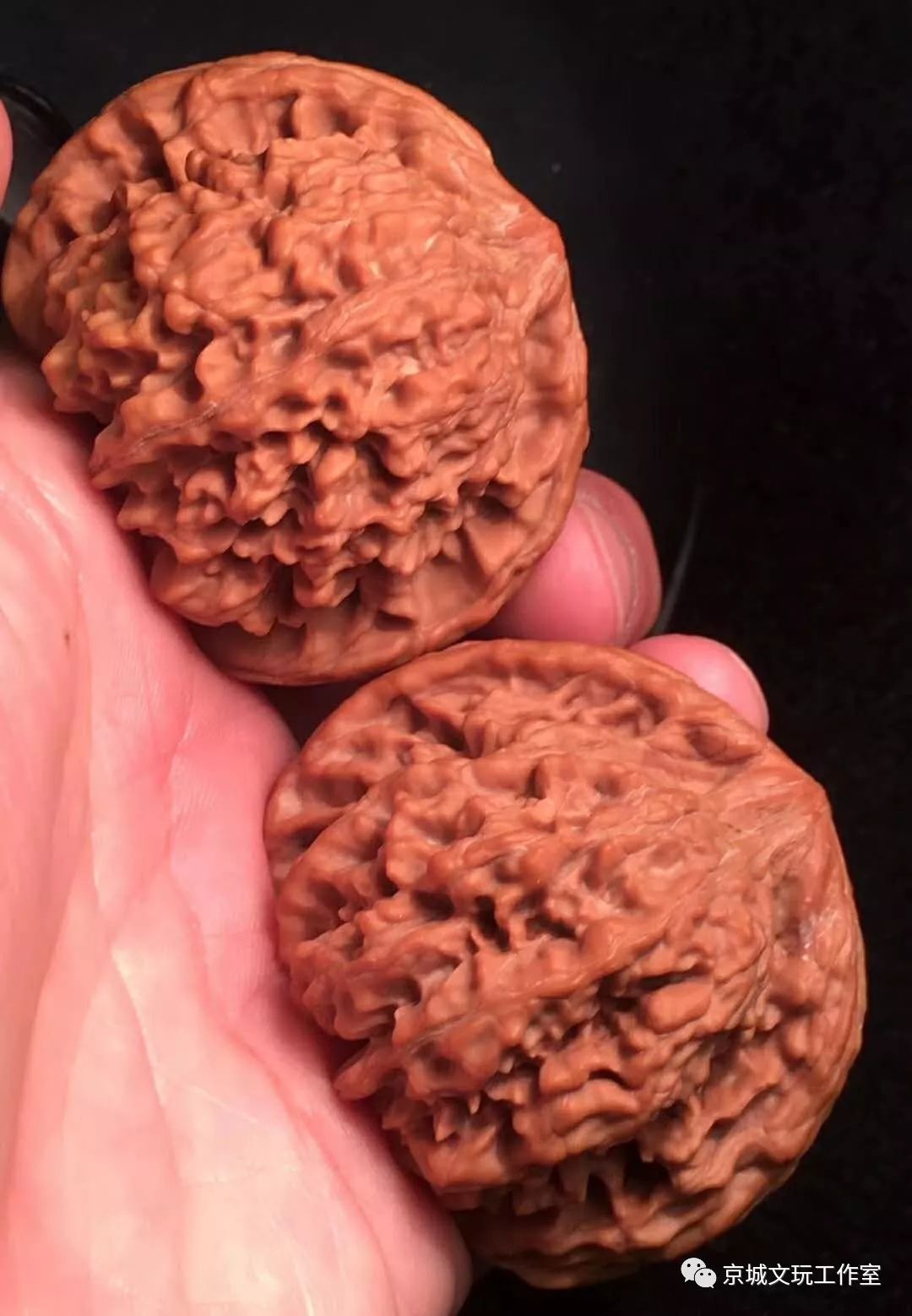 2022目前最火的文玩核桃,最好的文玩核桃品种是哪一种