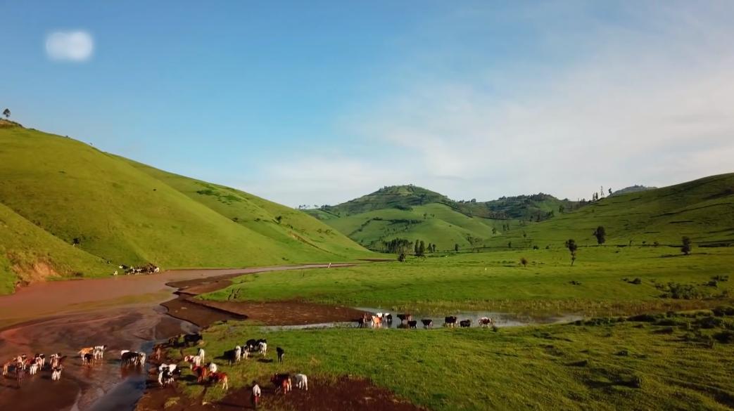 刚果最富裕的地方,刚果金富人年收入