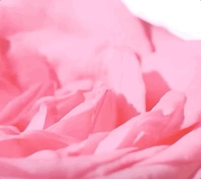 那些年填满宿舍桌的开架彩妆，你还记得吗？