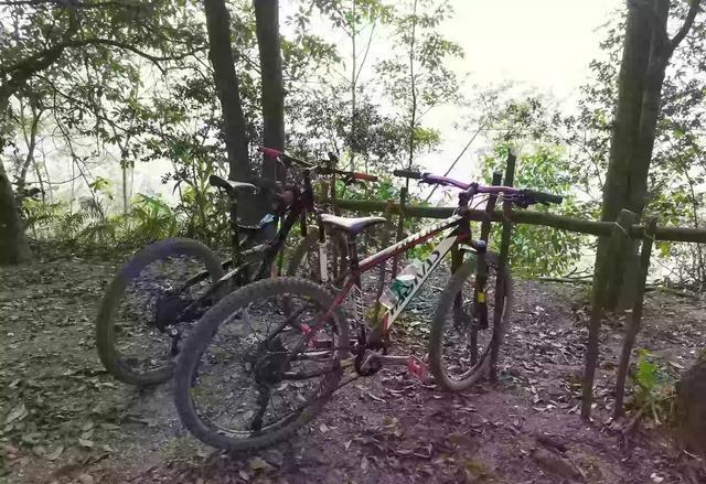 硬尾山地车入门推荐,硬尾山地车各种类型有啥区别