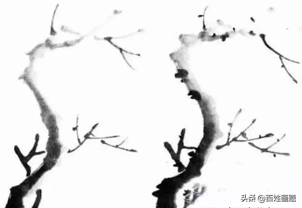 国画梅花画法视频,徐湛梅花画法教程