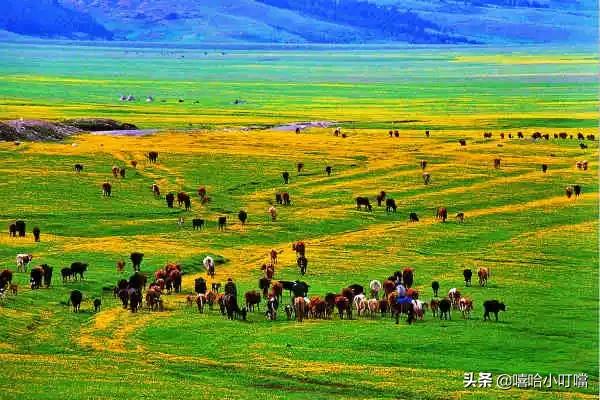 全国各地特产一览表,全国各地特产小吃一览表