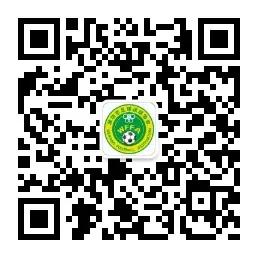 潍坊轮滑比赛直播,2024年潍坊全民健身击剑比赛