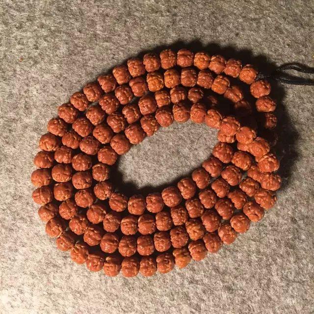 金刚菩提怎么玩才是真的,金刚菩提应该怎么玩