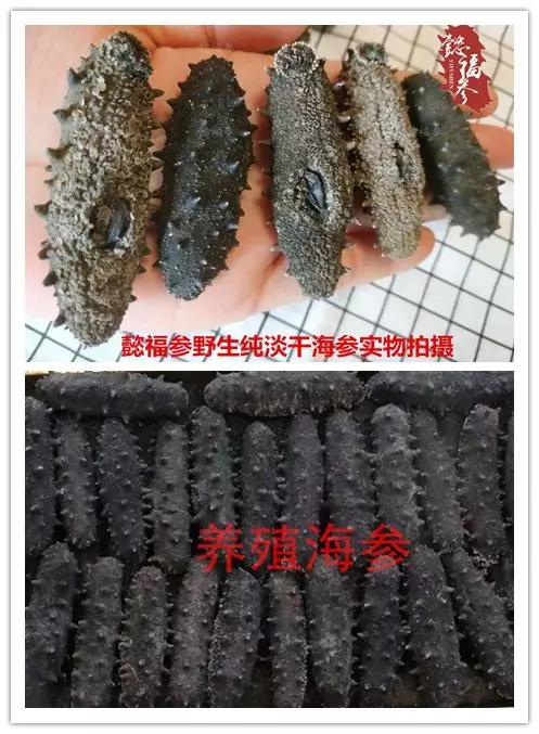 什么样的海参是比较好的海鲜,什么样的海参质量好有养分
