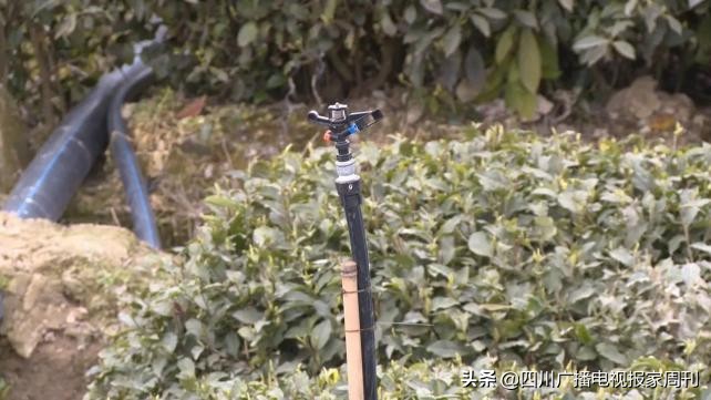 「抗击疫情」四川省电视艺术家协会团体会员单位在行动！（三十八）