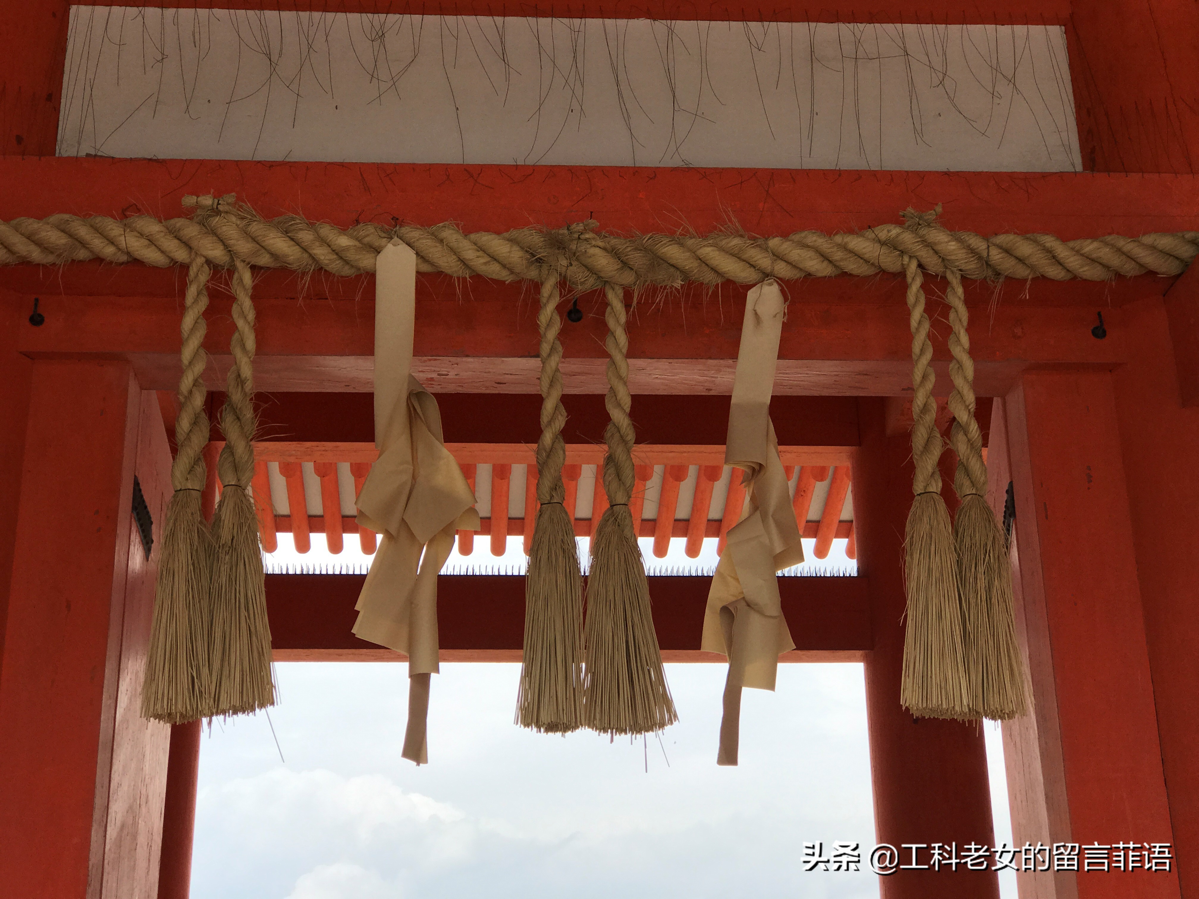 京都之因喜欢这神社的名字就在此卜了一签,却不认字