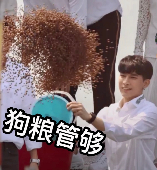 泰剧与爱同居高甜部分,好看的泰剧与爱同居