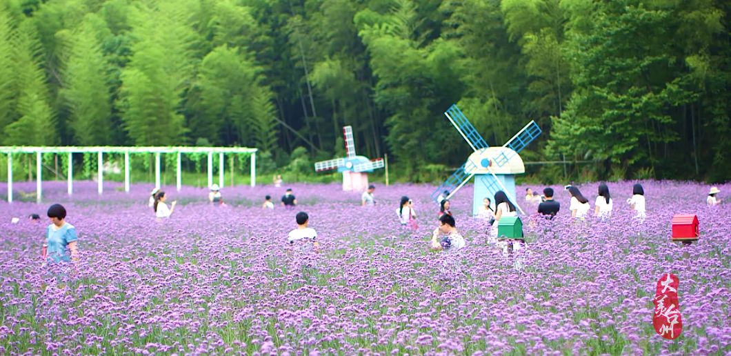 台州历史文化遗产,台州山海文化