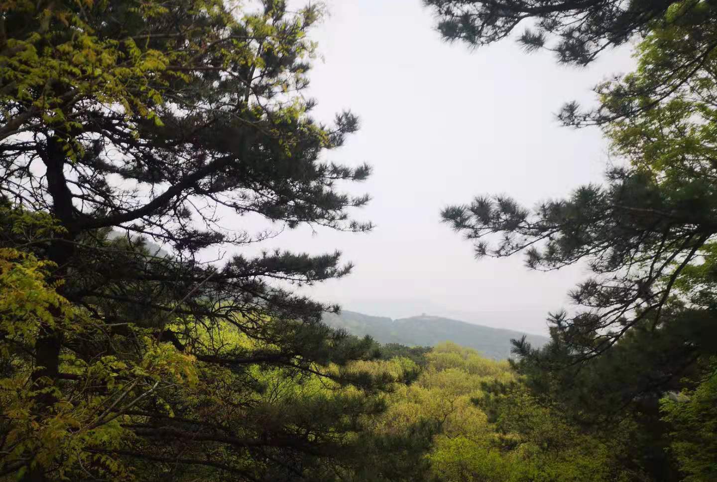 北京西山国家森林公园,北京西山国家森林公园预约