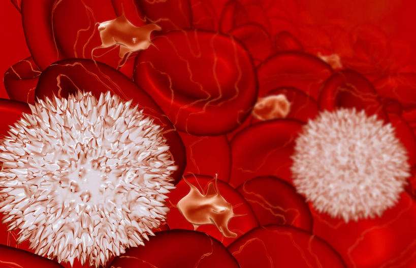 怀孕红细胞白细胞都偏高,怀孕白细胞偏高会对胎儿有影响吗