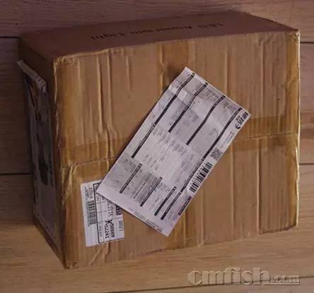 KELO钜彩照明LED水族灯试用活动鱼友评测详情,一