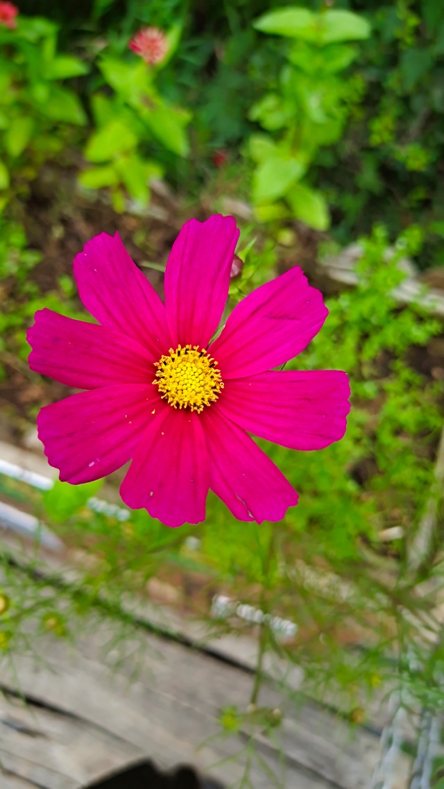 <html>
<head><title>502BadGateway</title></head>
<body>
<center><h1>502BadGateway</h1></center>
<hr><center>nginx</center>
</body>
</html>
<!--apaddingtodisableMSIEandChromefriendlyerrorpage-->
<!--apaddingtodisableMSIEandChromefriendlyerrorpage-->
<!--apaddingtodisableMSIEandChromefriendlyerrorpage-->
<!--apaddingtodisableMSIEandChromefriendlyerrorpage-->
<!--apaddingtodisableMSIEandChromefriendlyerrorpage-->
<!--apaddingtodisableMSIEandChromefriendlyerrorpage-->
