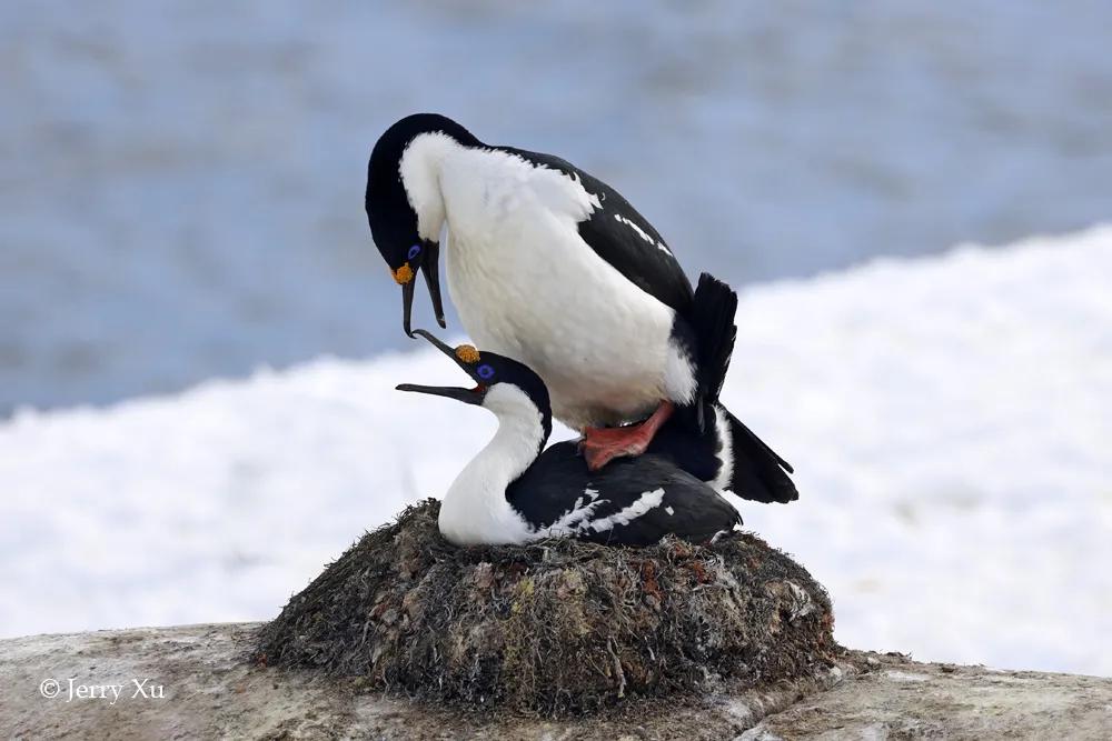 情人节，就该和爱的人*爱做**做的事