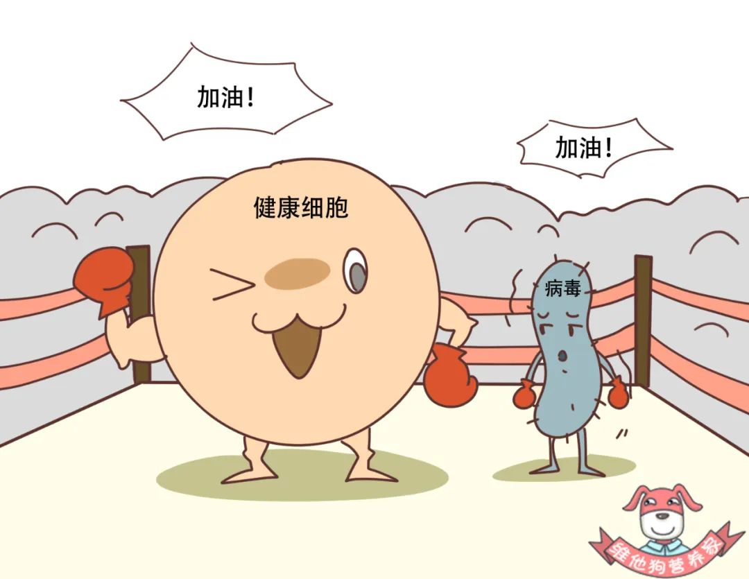 身体炎症多吃三种食物,身体老是有炎症应该怎么吃才好