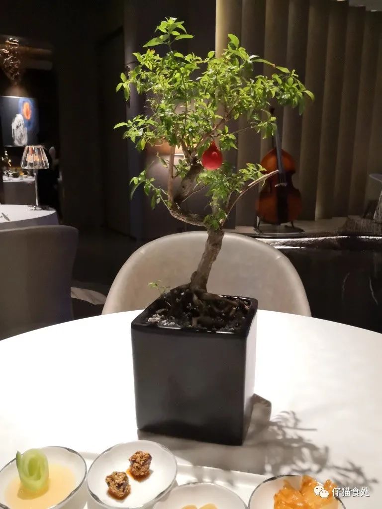 成都银火锅,silverpot银锅餐厅秒杀优惠