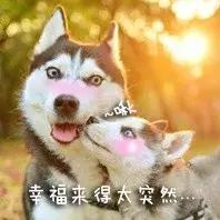 好紧张马上要和喜欢的人表白了,对已婚女人表白她很紧张