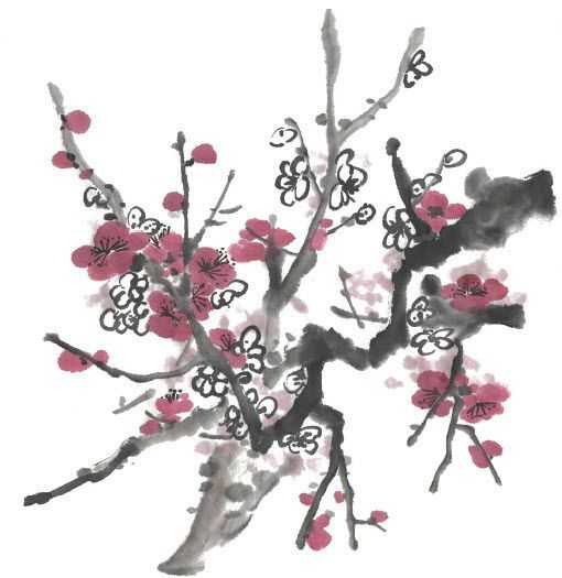 国画梅花上的雪画法步骤教程视频,零基础国画入门画梅花教程