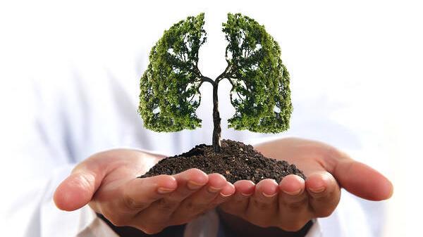 山药汤怎么做最养脾胃成人,秋天山药煲什么汤补脾胃肝肾