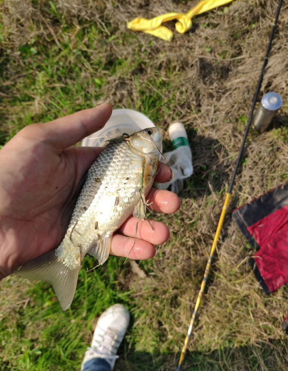 禁渔期单竿单钩怎么处罚,禁钓期后可以一线双钩吗