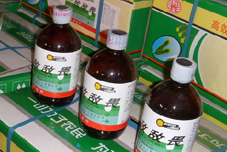 郭美美等销售违禁减肥食品,郭美美售卖违禁减肥食品被刑拘