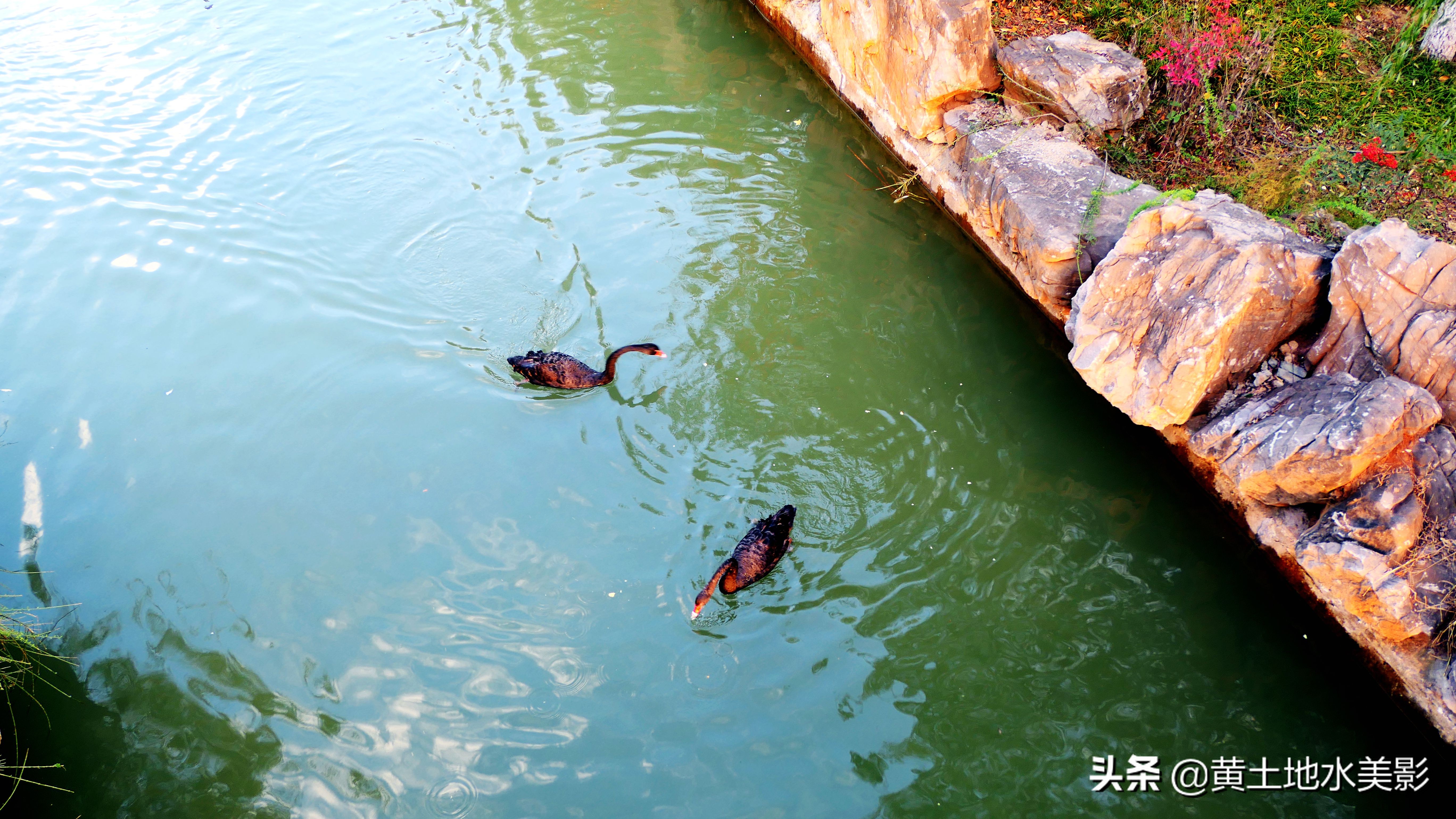 免费游玩东湖公园攻略,免费湿地公园游乐景点