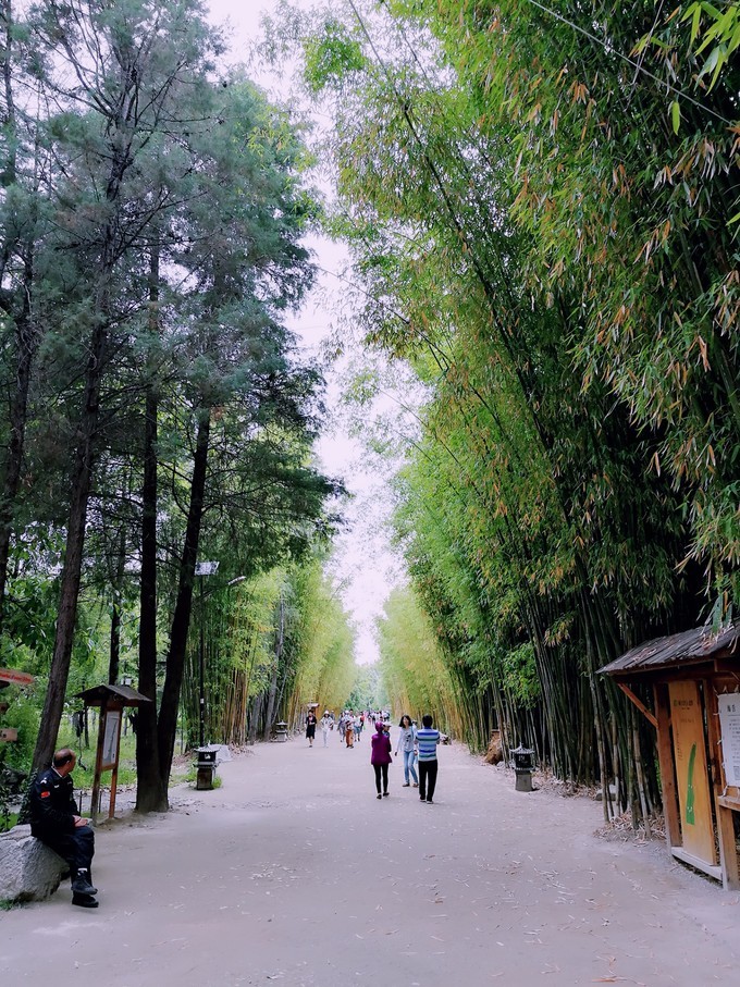 大理洱海风花雪月,大理风景风花雪月