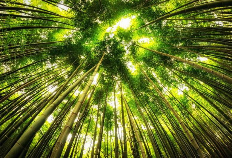 陕西省十佳幼儿园,陕西省示范幼儿园排名