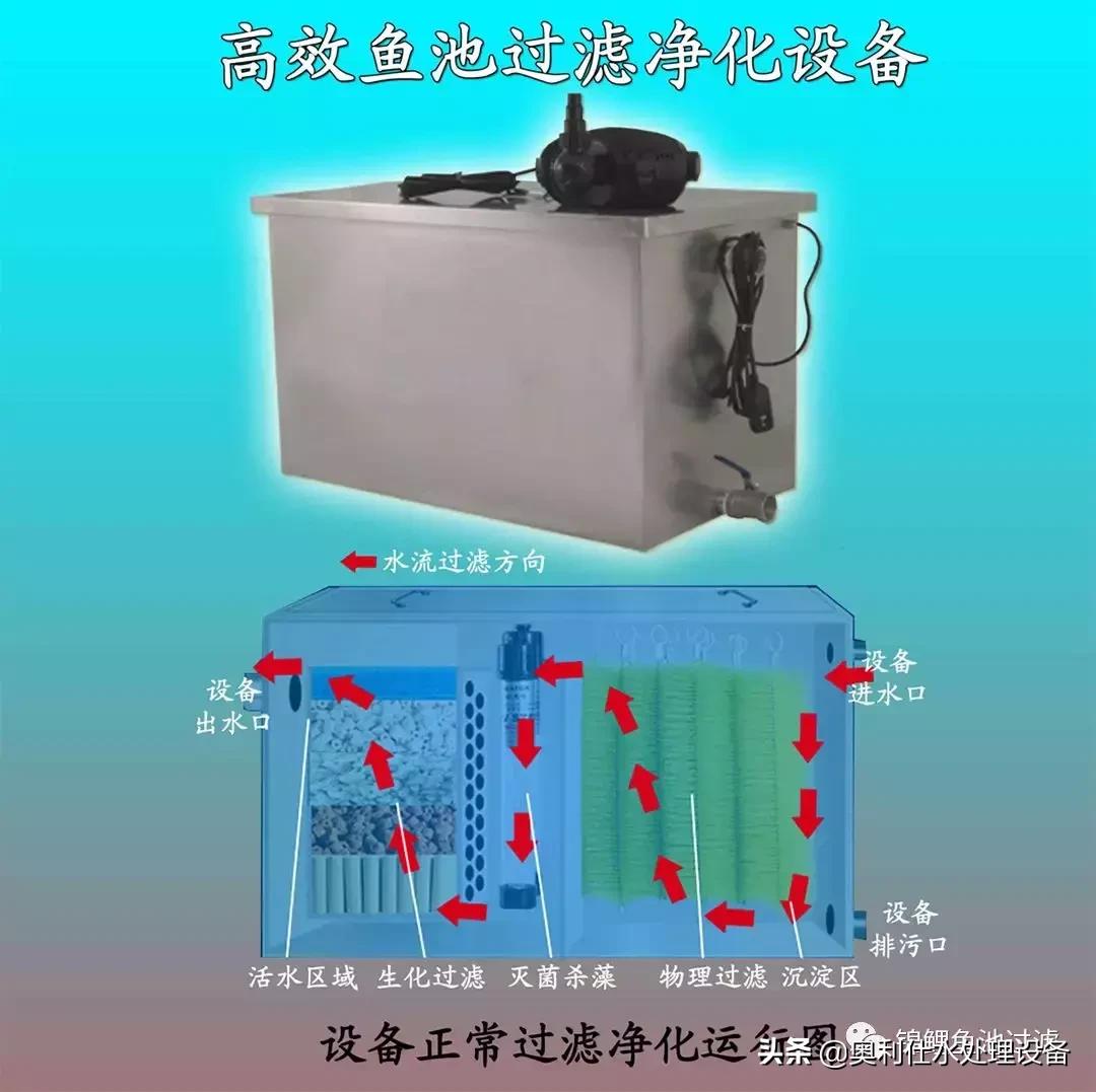 锦鲤鱼池过滤仓建造过程视频,锦鲤鱼池最好的过滤方式