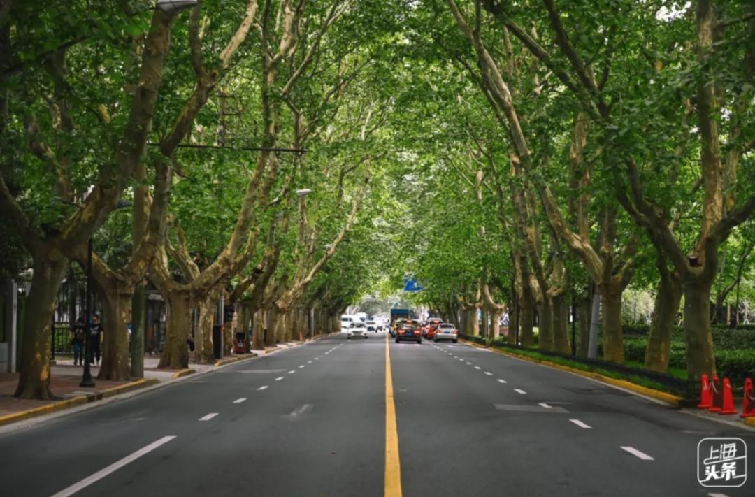 上海最有腔调的小马路,上海必逛的十条马路