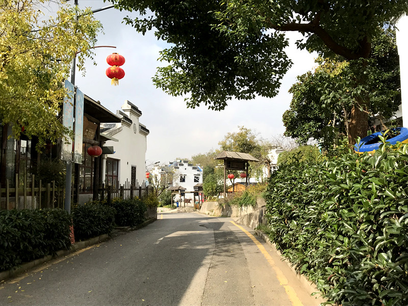 采菊东篱下悠然见南山拙政园,采菊东篱下悠然见南山芒种