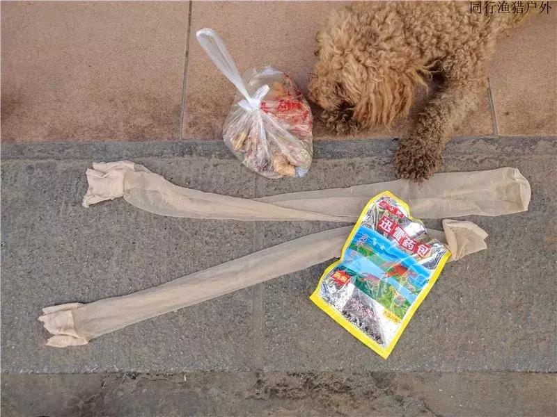 野钓笔记2018,钓龙虾日记100字