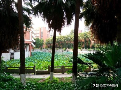 国家专项计划，中山大学又“垫底”，高考生感觉很幸福