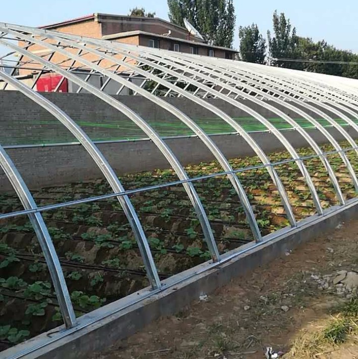 阳光板温室大棚优缺点,阳光板温室大棚室内效果