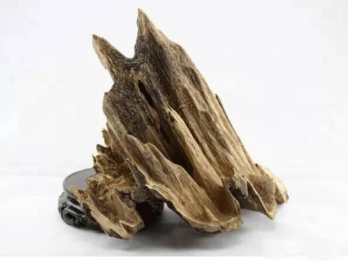 沉香四大要素图,沉香各大产区香味