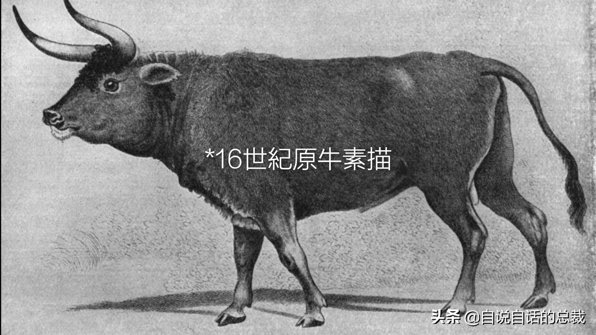 阿努纳奇创造人类7次文明,阿努纳奇人类起源