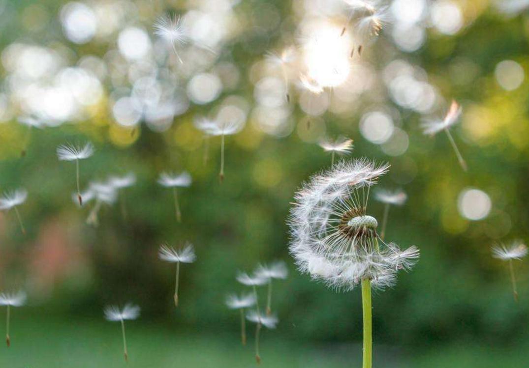 对待聪明人的办法,面对阴险狡猾的人该怎么回避他