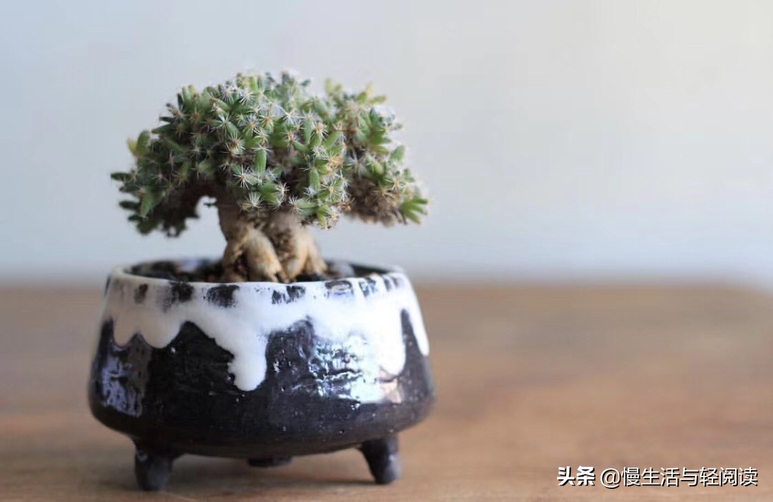 《慢生活·轻阅读》1647期