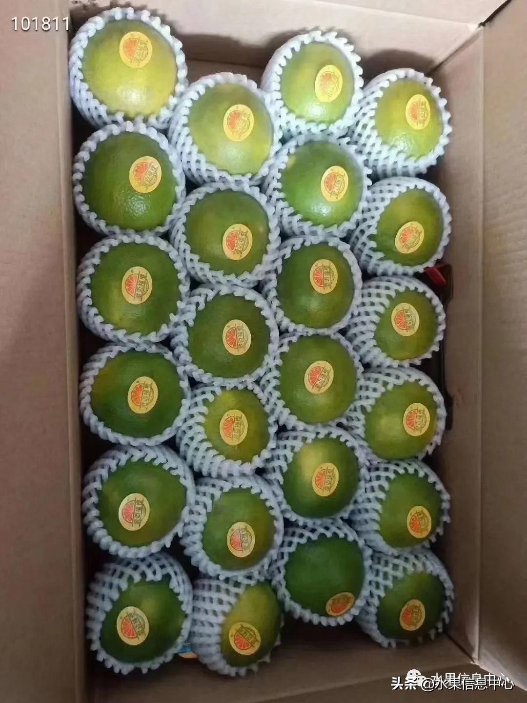 最好的橙子产地在哪里,中国橙子产地排名